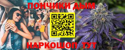 гидра Будённовск