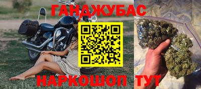 гидра Будённовск