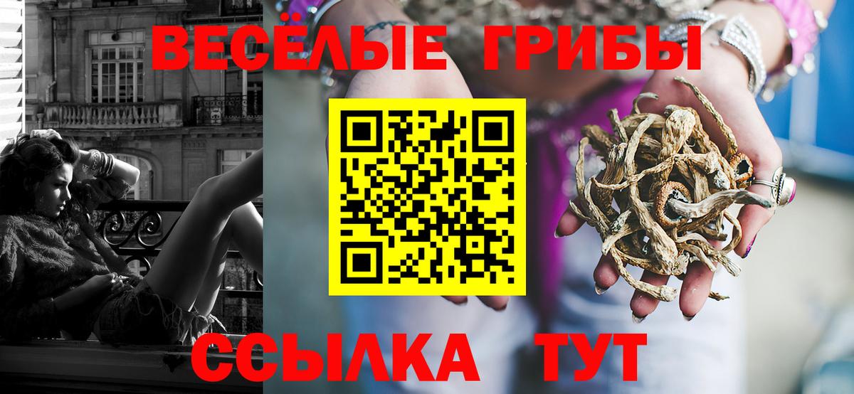 Семёнов  Псилоцибиновые грибы мухоморы  Вход с VPN  Псилоцибиновые грибы мицелий 